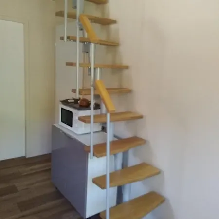 Bizi Logela Bidarray