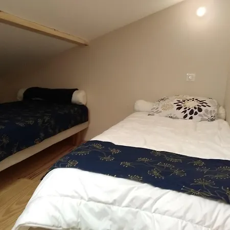 Bizi Logela * Bidarray
